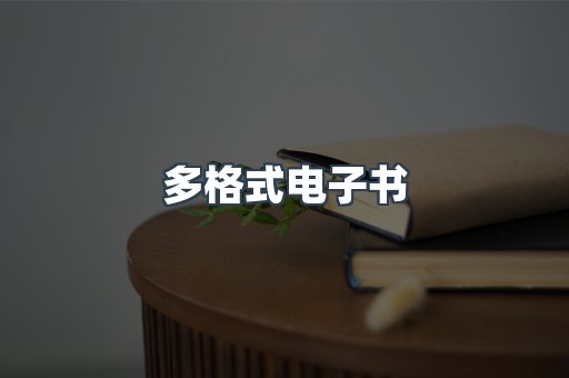 多格式电子书